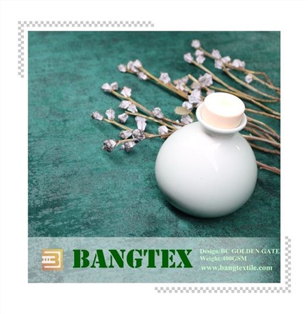 न्यू ब्रोंजिंग डिज़ाइन 2021 के साथ हॉलैंड वेलवेट